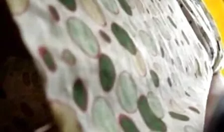 Giocoso pulcino Eva Lopez impegnati nel sesso film porno gratis tettone anale