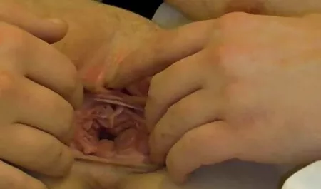 L'allattamento nonne tettone xxx al seno con grande culo rende la gola pompino prima del sesso con calvo cavalier