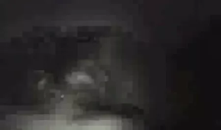 Calvo tizio facile è allevamento procace милфу sul xxx tette grosse sesso sotto l'albero e in una cabina doccia